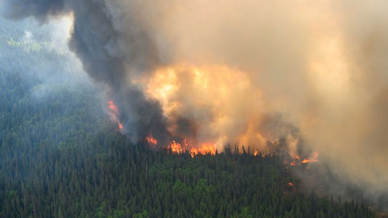 Теоретик на климатичната конспирация каза, че правителството умишлено е запалило горски пожари. Той току-що се призна за виновен, че сам е започнал 14
