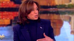 Kamala Harris on the View