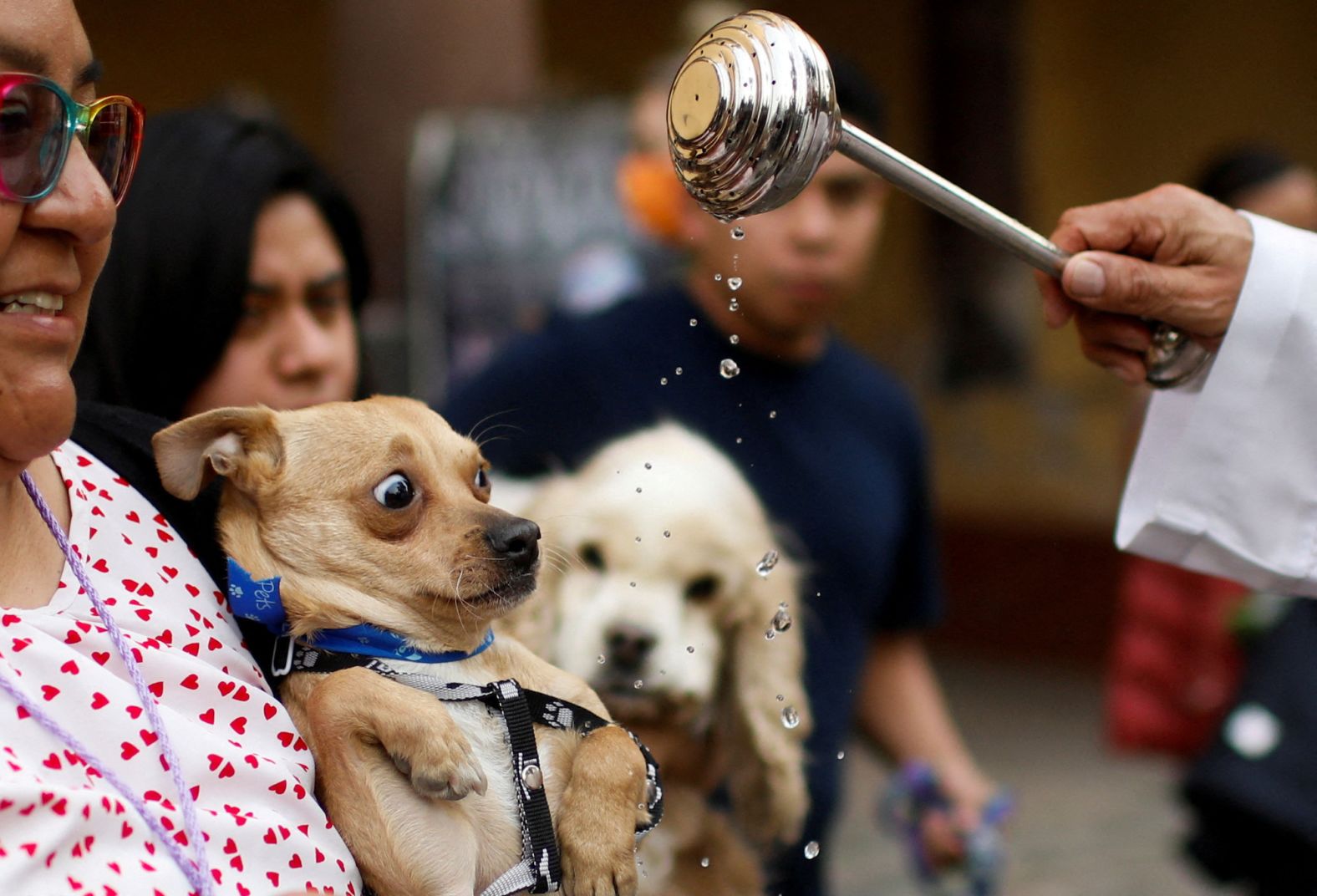 A woman brings her dog to be blessed by a priest at the San Bernardino de Siena church during a ceremony commemorating the Feast of Saint Anthony the Abbot, the patron saint of domestic animals, in Xochimilco, on the outskirts of Mexico City, on Wednesday, January 17.