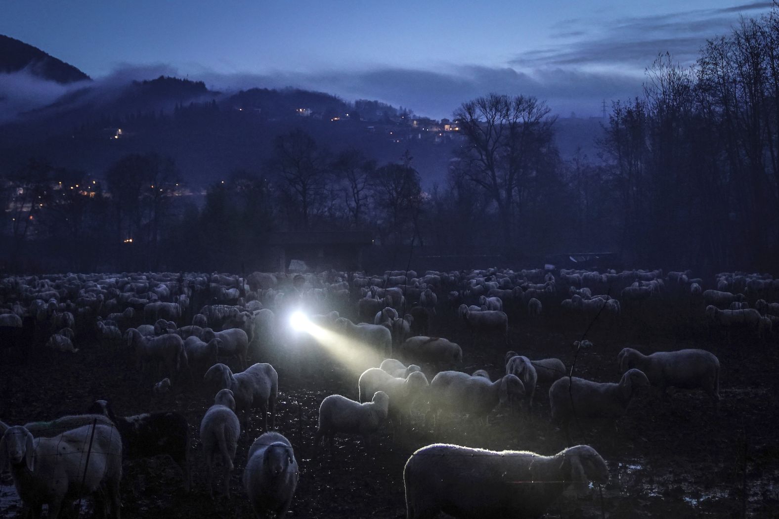 A shepherd walks with a flashlight through a flock of sheep at the first light of day near Botticino, Italy, on Thursday, January 18. <a href="index.php?page=&url=https%3A%2F%2Fwww.cnn.com%2F2024%2F01%2F11%2Fworld%2Fgallery%2Fphotos-this-week-january-4-january-11-ctrp%2Findex.html" target="_blank">See last week in 35 photos</a>.