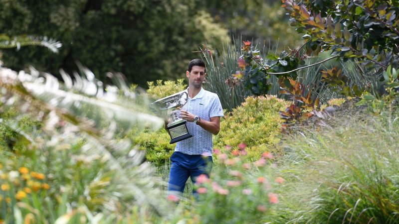 Новак Джокович: Как „специалната връзка“ с едно дърво помага на тенис звездата да влезе в историята на Australian Open