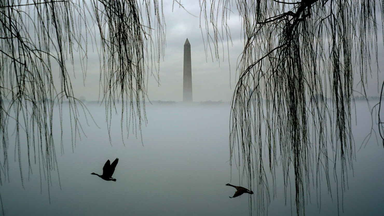Geese fly past as the Washington Monument rises above fog blanketing the Potomac River on an unseasonably warm day in Washington, U.S., January 25, 2024.