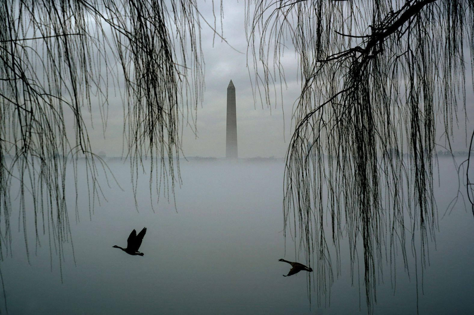 Geese fly past as the Washington Monument is seen above fog in Washington, DC, on Thursday, January 25. <a href="index.php?page=&url=https%3A%2F%2Fwww.cnn.com%2F2024%2F01%2F25%2Fweather%2Fweather-fog-us-climate%2Findex.html" target="_blank">Dense fog alerts</a> were so extensive nationwide that they reached record levels for the third consecutive day. 