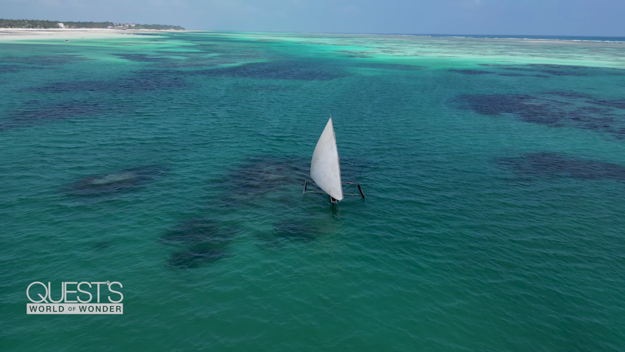 quests world of wonder zanzibar island life stone town pemba spc_00105610.png