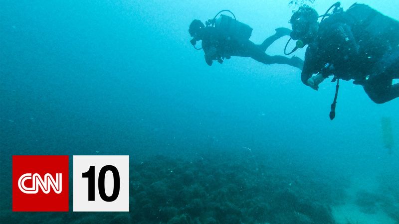 NextImg:Today's new in 10 minutes | CNN