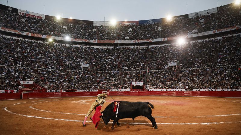 Return of bullfighting met by protests in Mexico City