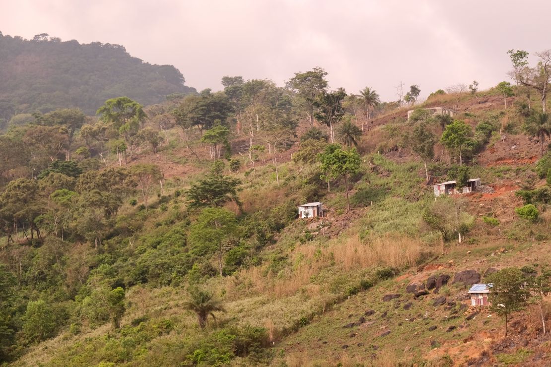 Every month, more of the forest surrounding the Tacugama sanctuary destroyed with new settlements moving in
