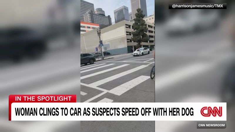 L.A. woman jumps on speeding car to stop dog thief