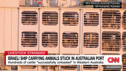 exp Australia agrees to unload ship animals watt reader 020303ASEG2 cnni world_00002001.png