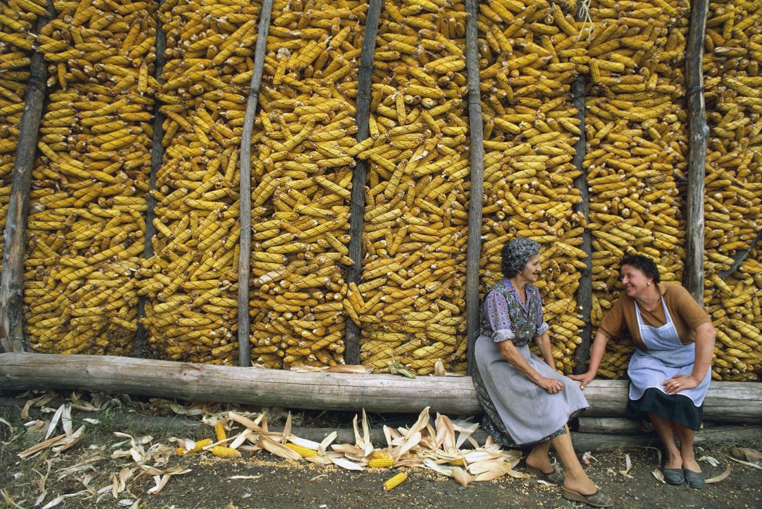 Women resting after picking and storing corn cobs, Mondonio San Domenico Savio, Piedmont, Italy.