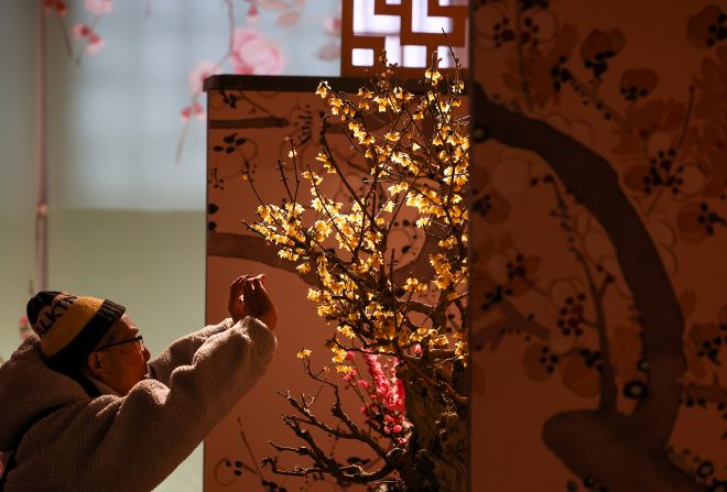 A man takes photos of blooming plum blossoms at the Summer Palace in Beijing, China on February 5.