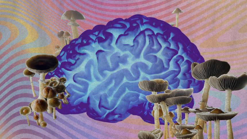 20240208_psychedelics helped these athletes