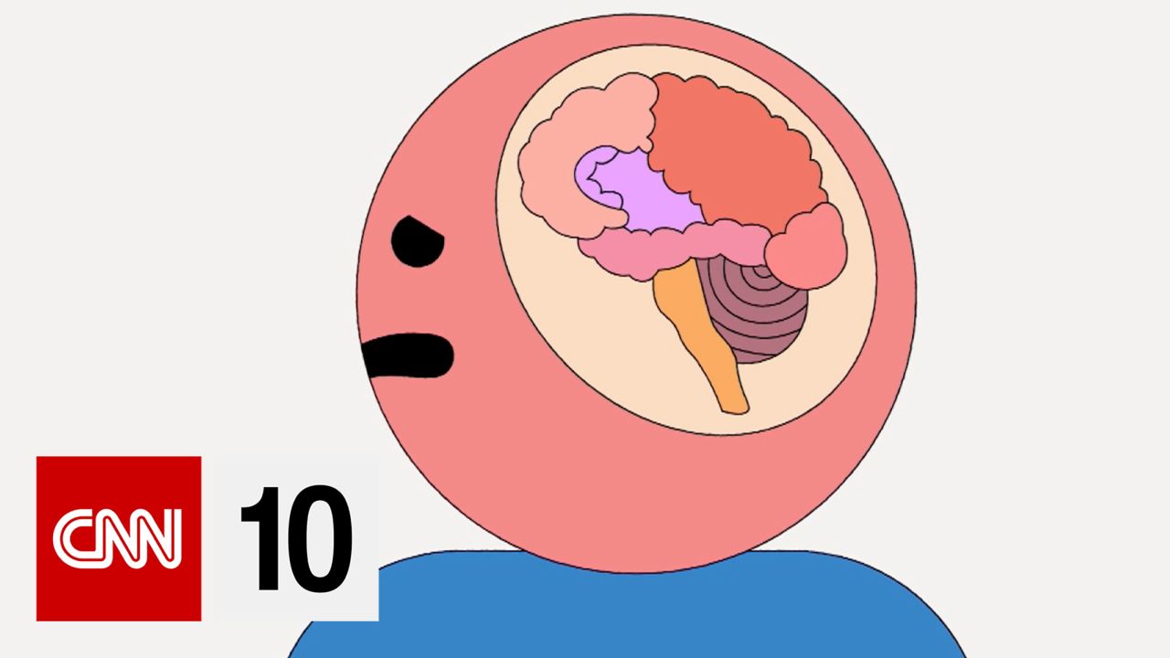 brain animation still cnn 10