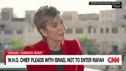 exp WHO's chief on Gaza intv 021410aSEG1 cnni world _00002001.png