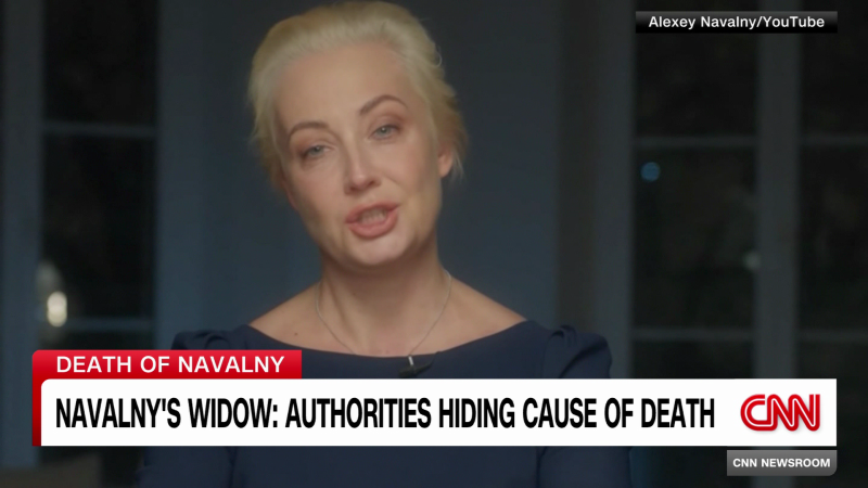 Navalny death investigation