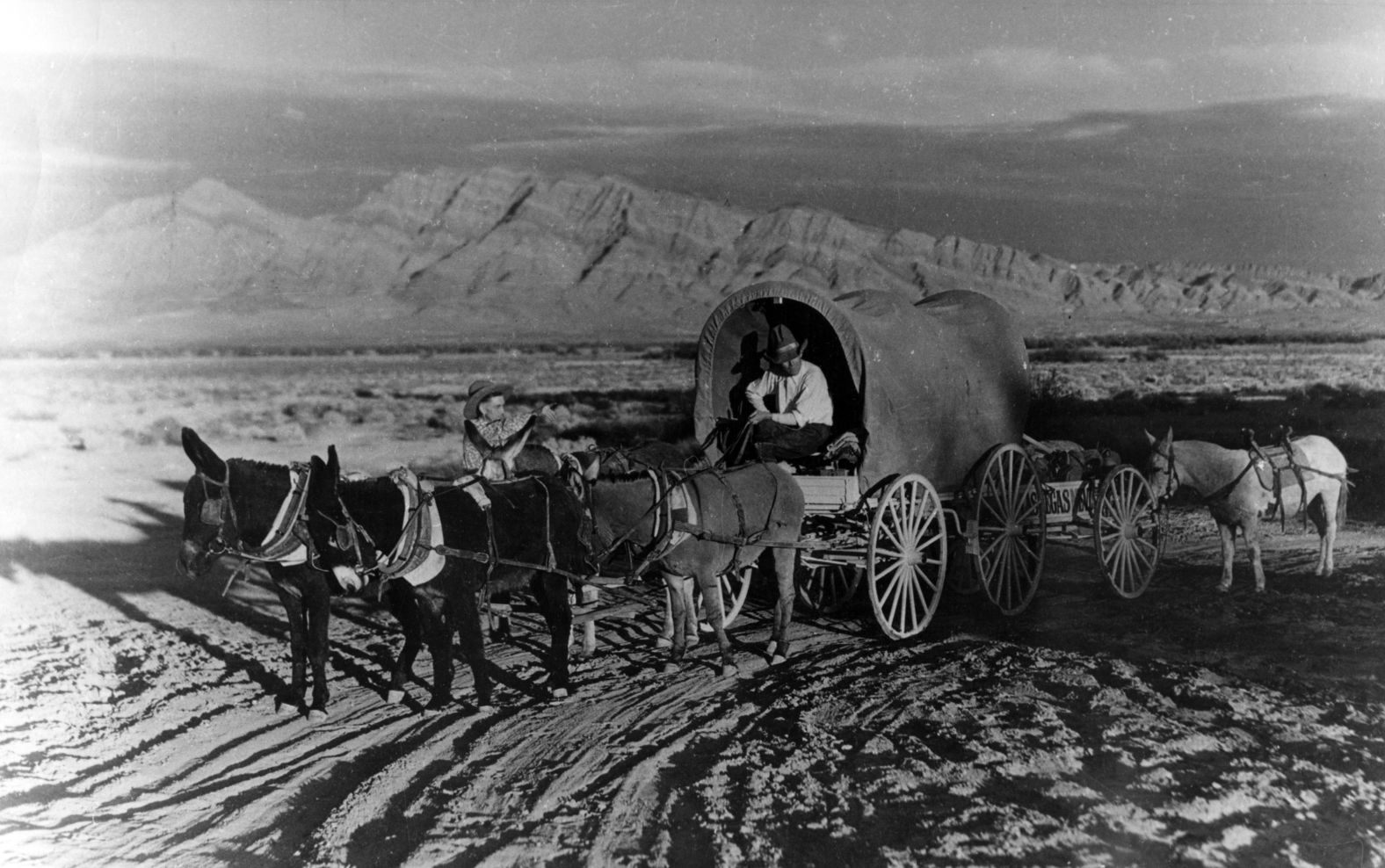 Donkeys pull a supply wagon in Las Vegas circa 1905.
