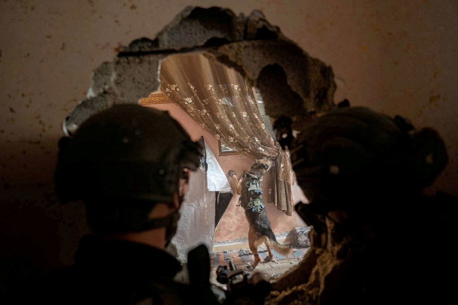 Israeli soldiers watch a military dog as they operate in Gaza on Wednesday, February 21. Israeli forces will expand military operations in the southern Gaza city of Rafah <a href="index.php?page=&url=https%3A%2F%2Fwww.cnn.com%2Fmiddleeast%2Flive-news%2Fisrael-hamas-war-gaza-news-02-18-24%2Fh_111251910820ad350cf8d6e5fb192e0f" target="_blank">if hostages held by Hamas are not returned by the start of Ramadan</a>, war cabinet minister Benny Gantz said Sunday.