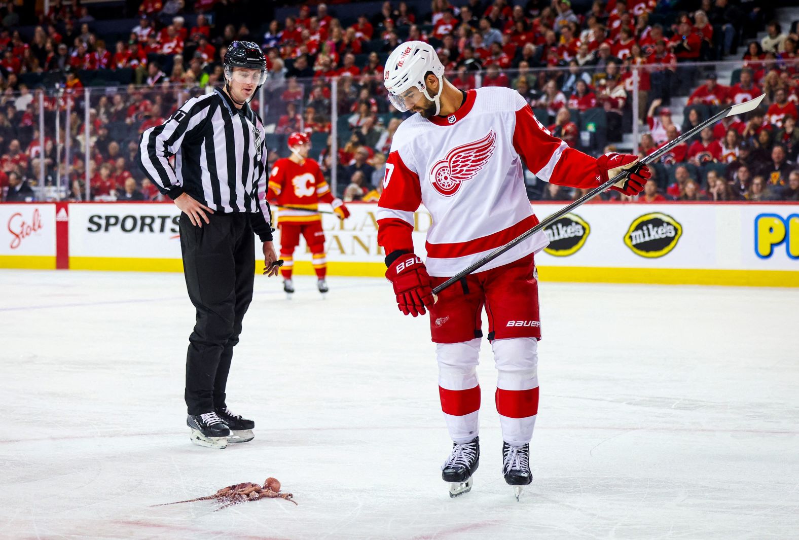 Detroit Red Wings center Joe Veleno looks down at an octopus that a fan threw onto the ice during an NHL game in Calgary, Alberta, on Saturday, February 17. The throwing of the octopus is a tradition at games in Detroit.