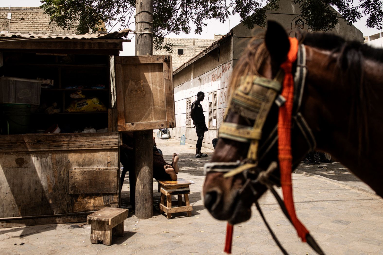 A man stands on a side street in Dakar, Senegal, on Tuesday, February 20. <a href="index.php?page=&url=http%3A%2F%2Fwww.cnn.com%2F2024%2F02%2F15%2Fworld%2Fgallery%2Fphotos-this-week-february-8-february-15%2Findex.html" target="_blank">See last week in 37 photos</a>.