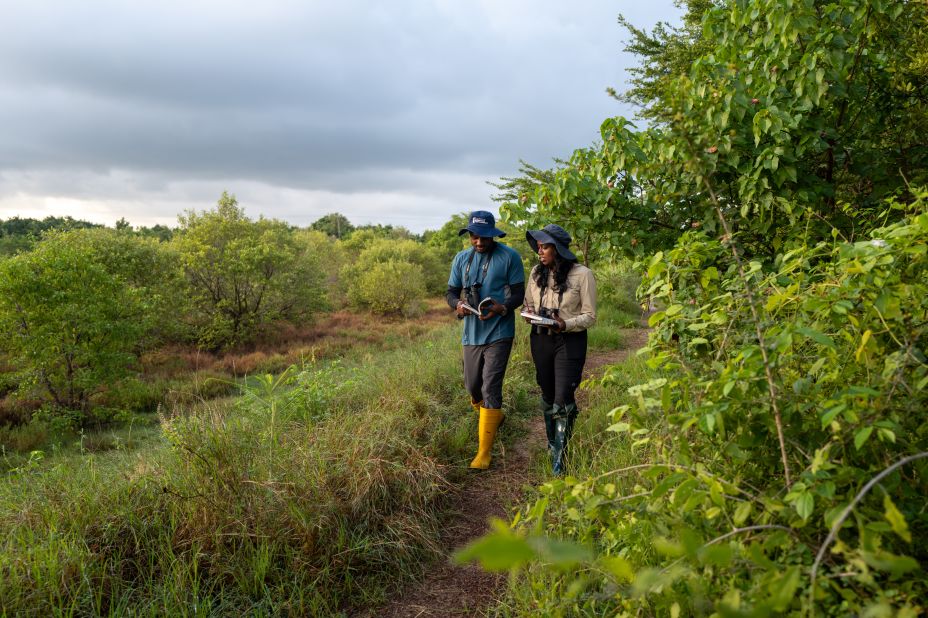 The Sri Lanka Mangrove Regeneration Initiative was launched in 2015 and has so far restored 500 hectares of mangroves, according to the UN, helping coastal communities that rely on these ecosystems. Around 10,000 hectares are set to be restored by the end of the decade. 