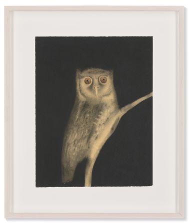 The pieces will be auctioned in March at Christie's in London. Butler says estimates for individual pieces range from £2,000 ($2,530) to over £50,000 ($63,440), with 80% of the proceeds going to Indigenous communities. This work by Sarah Ball is of a Xingu screech owl, a species found only in the Indigenous Xingu region of Brazil. <em>"Megascops stangiae" (2023).</em>