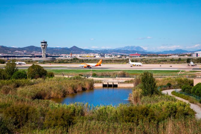 Barcelona El Prat's parent company Aena built a number of artificial lagoons in the area surrounding the airport, along the El Prat de Llobregat coastal zone, in order to  "increase the number of humid zones in the protected area, rewilding these degraded areas that once served as campsites."