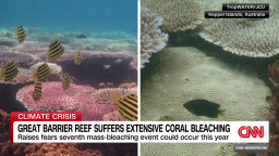 exp Great Barrier Reef bleaching Kinkade Beeden INTV cnni climate_00002001.png