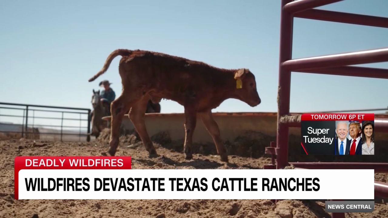 Ranch manager shows devastation of Texas wildfire _00012605.png