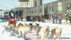 iditarod dog sled race alaska pkg affil vpx_00003218.png