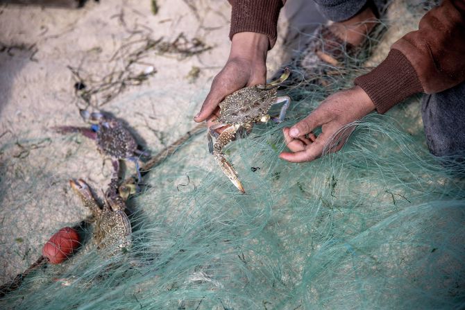 A Palestinian fisherman holds a crab from a modest catch in Gaza City on February 20.