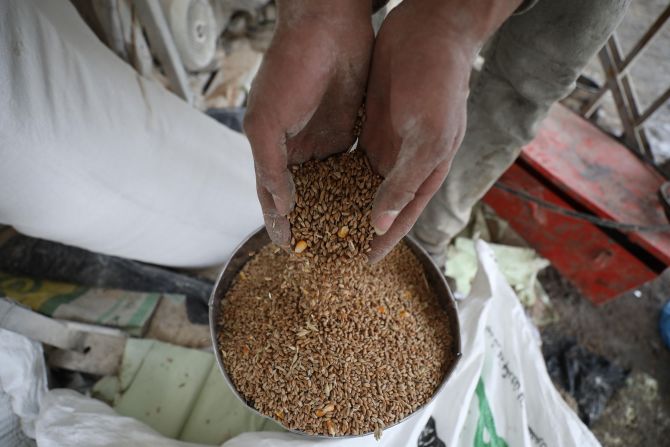 Because of a lack of flour, Palestinians process animal fodder to make bread in Gaza City on January 24.