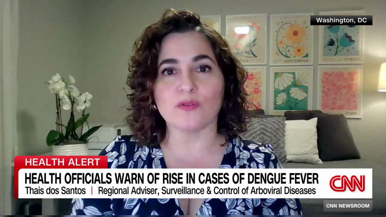 exp Dengue Fever Brazil South America Thais Dos Santos INTV 031202ASEG2 CNNi World_00003401.png