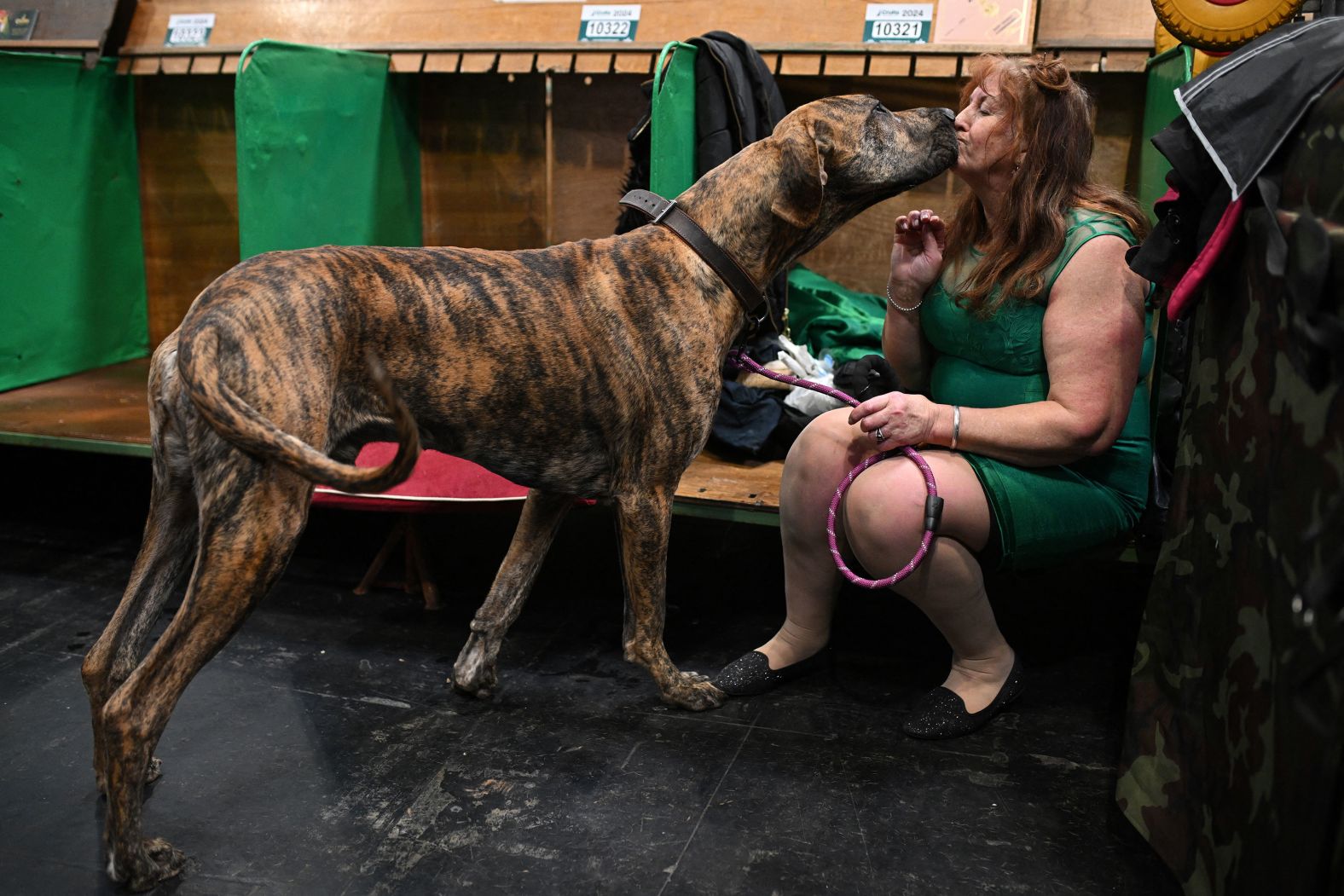 A Great Dane kisses its handler during the Crufts dog show in Birmingham, England, on Saturday, March 9.