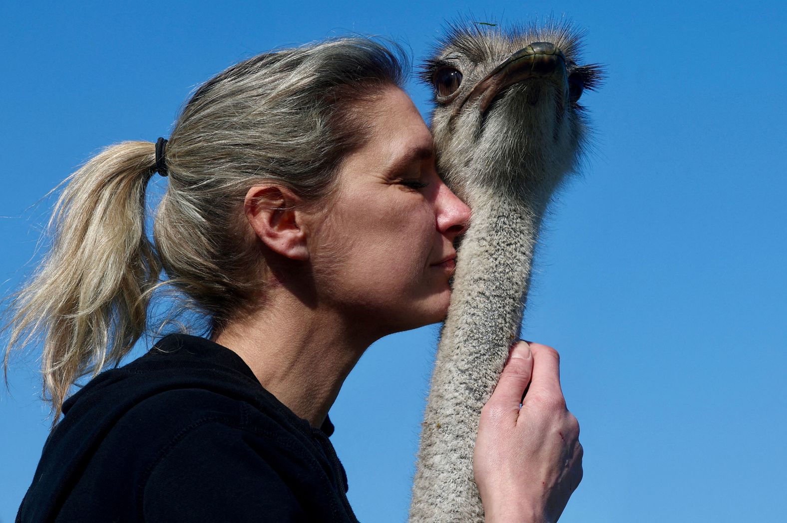 Wendy Adriaens, founder of the animal rescue farm De Passiehoeve, hugs Blue, a 6-year-old female ostrich, at the farm in Kalmthout, Belgium, on Friday, March 8.