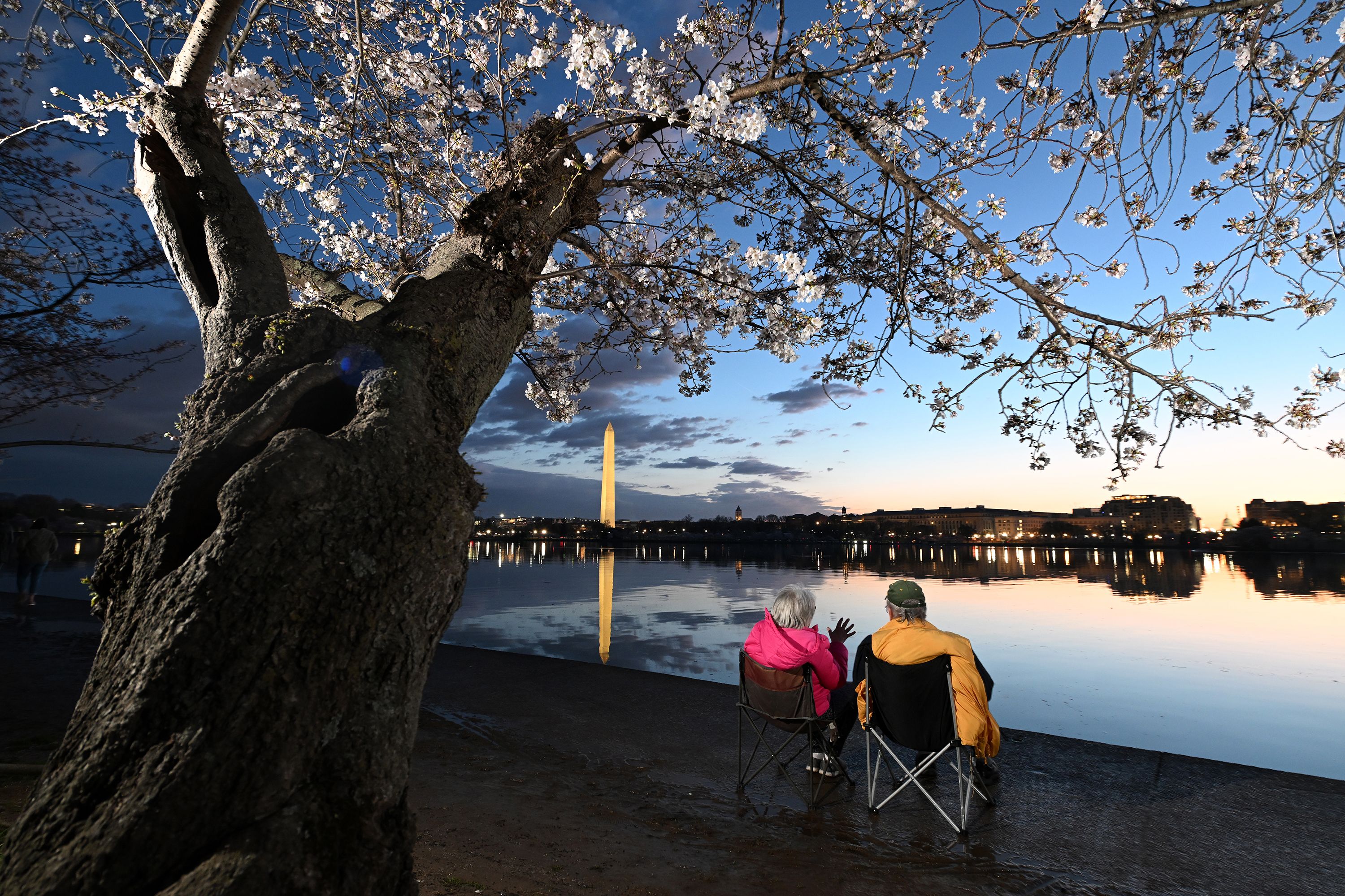 People gather under cherry blossoms along the Tidal Basin in Washington, DC, at dawn Sunday, March 17.