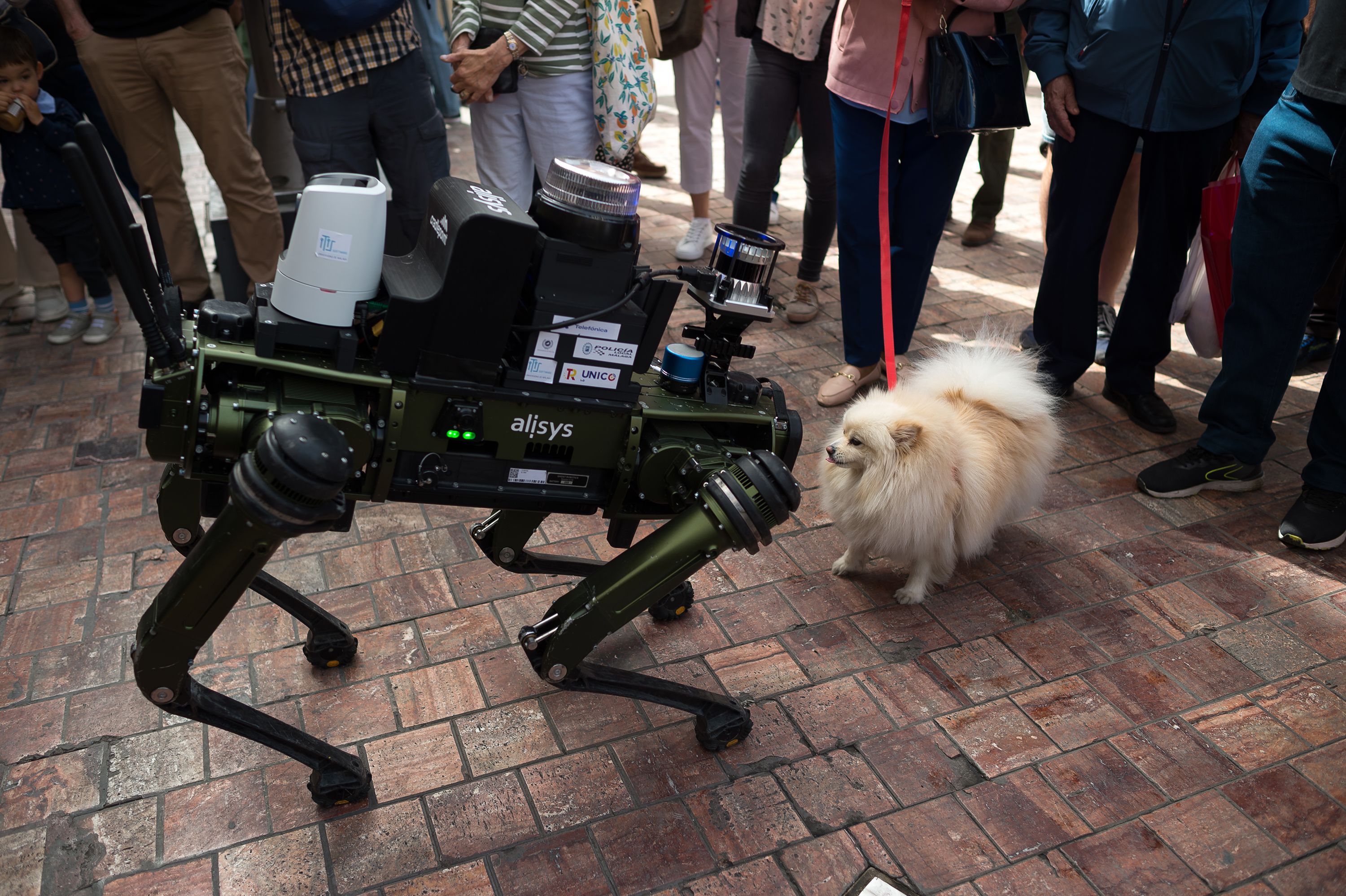 A dog meets a robotic police dog prototype during its presentation in Malaga, Spain, on Tuesday, March 19.