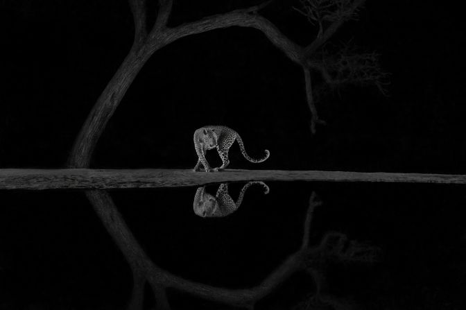 This photo of a leopard by a pond in Kenya's East Rift Valley won Richard Li the black and white category.