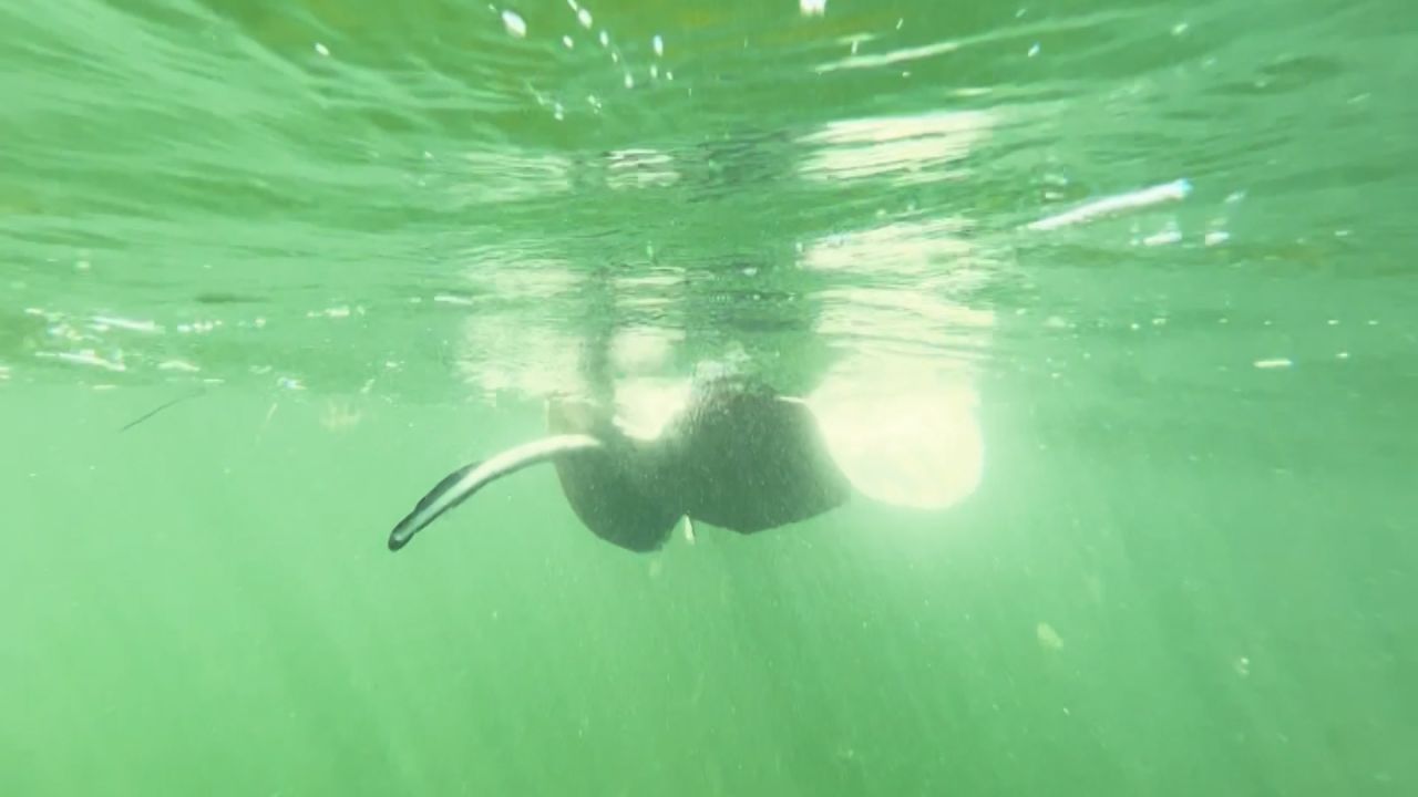 fish spinning florida keys