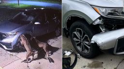 dogs attack car split thumb vpx