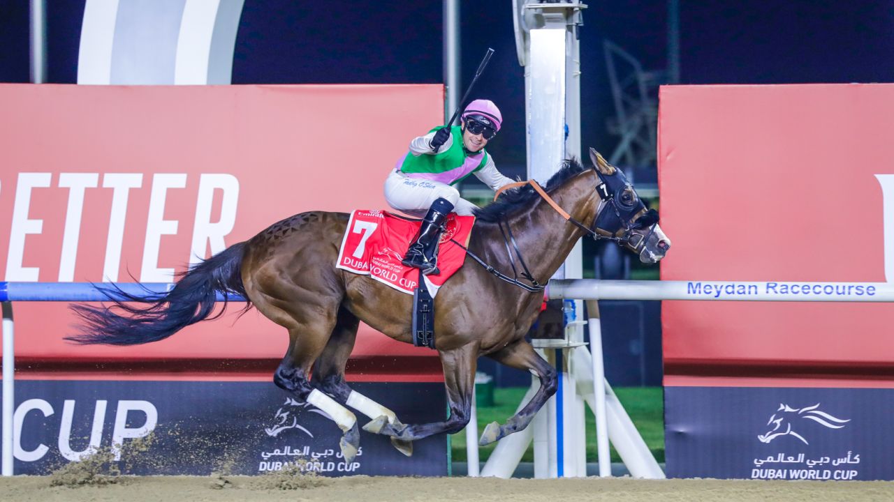 Dubai World Cup on 30 March, 2024: Race 9 winning horse Laurel River with jockey Tadhg O'Shea