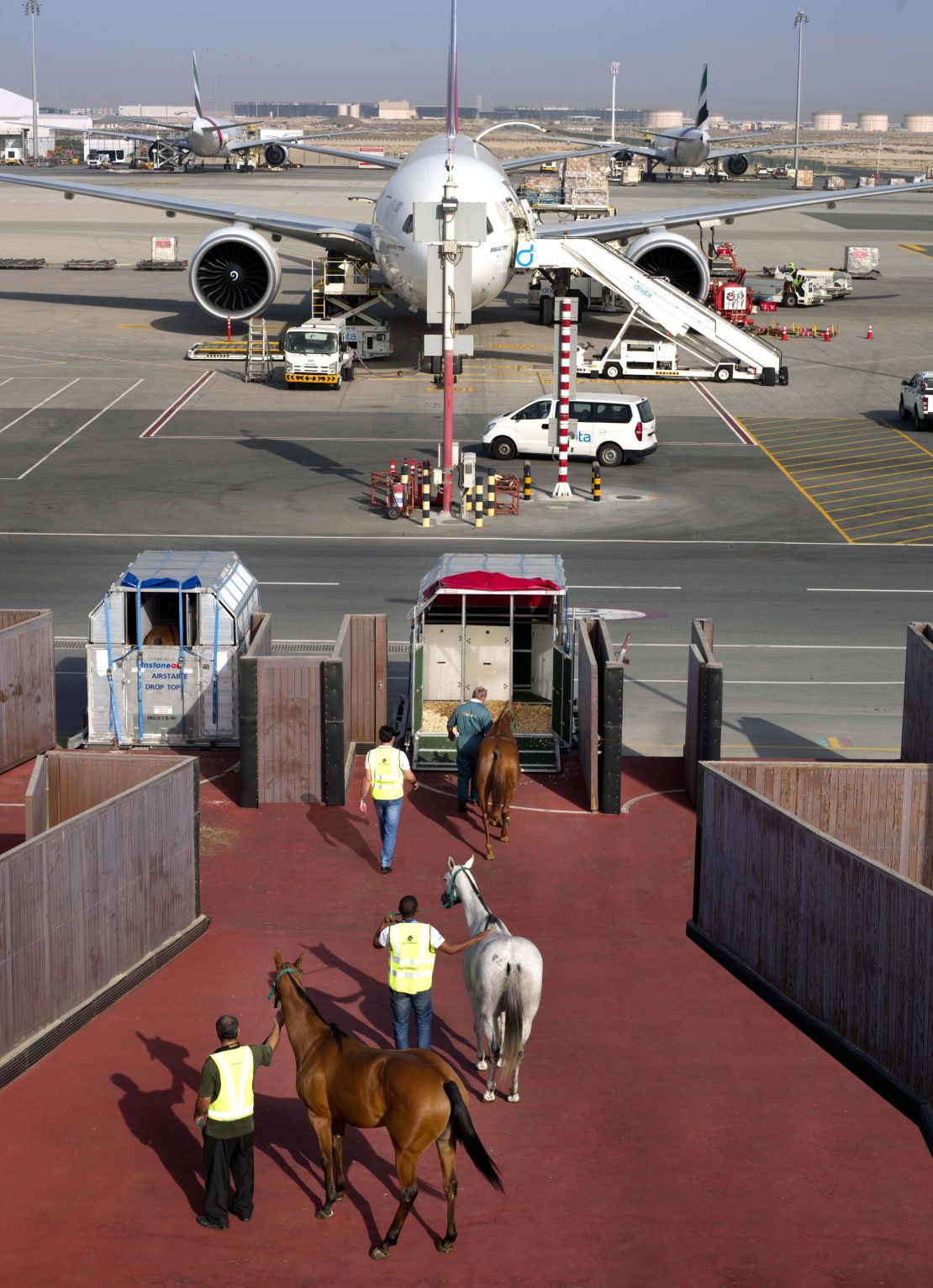 Emirates Skycargo has been transporting champion horses from across the world to the Dubai World Cup and Carnival races since 2002.