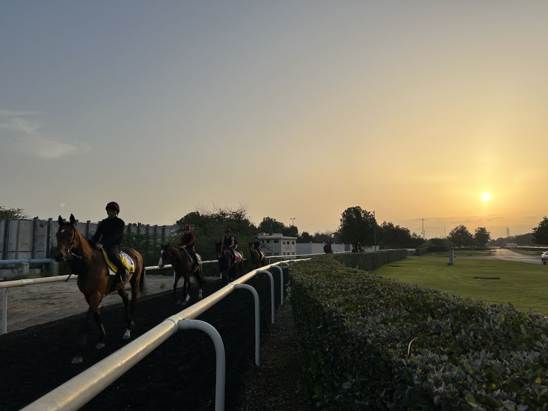 Horses walk to Meydan Racecourse for morning track work on 28/03/2024, ahead of the Dubai World Cup (March 30, 2024)
