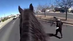 police chase horse vpx