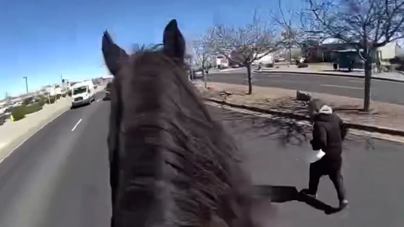 ‘John Wayne-style takedown’: Bodycam footage captures unusual police chase