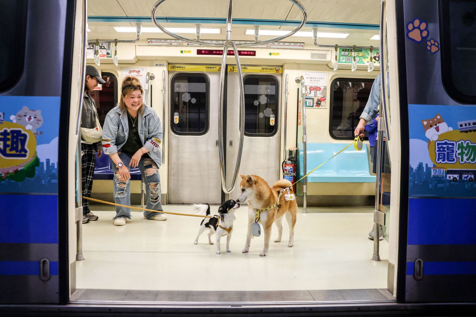 Dogs interact with each other on a Taipei Metro train in Taiwan on Sunday, March 31. The Taipei Metro has started operating two pet-friendly trains along its Red Line.