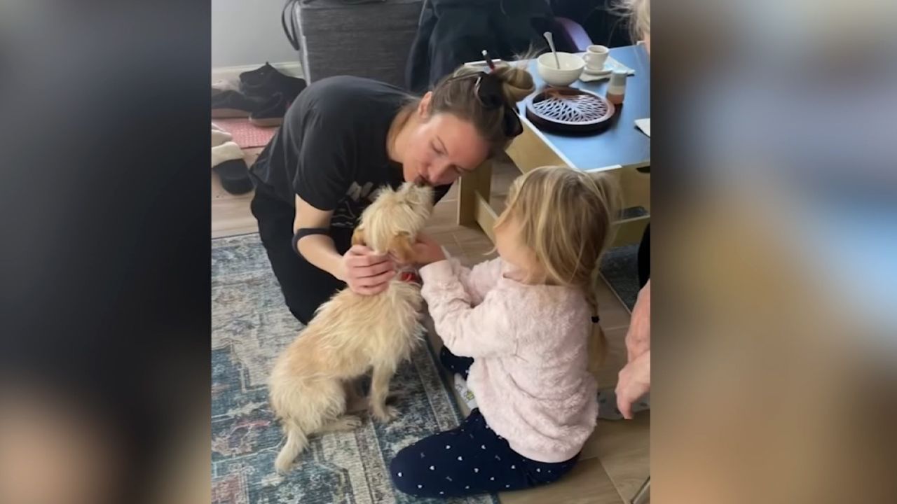 Watch family reunite with dog missing for almost one year | CNN