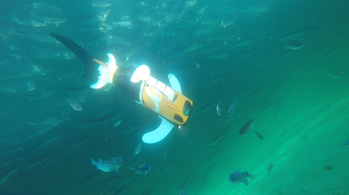 Aquaai's underwater drone swims with fish