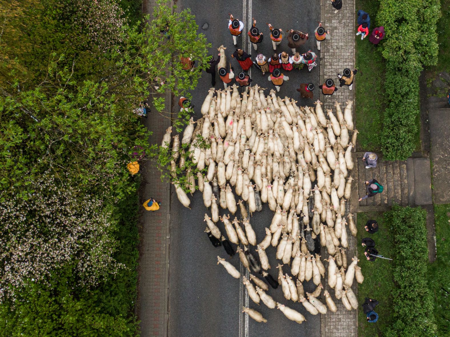 Highlanders walk with their sheep to start the grazing season in Ludźmierz, Poland, on Sunday, April 21. Every year, shepherds visit the local church to celebrate the start of the season and pray for a good grazing.