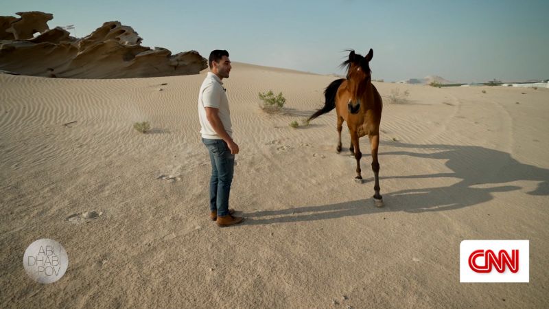 Coastal life and ranches: A different side to Abu Dhabi | CNN Business