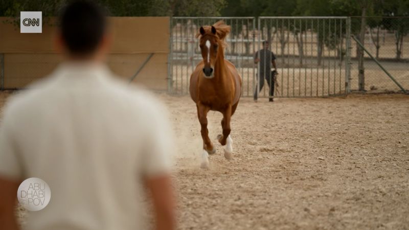 This ranch in Abu Dhabi trains horses to be movie stars | CNN